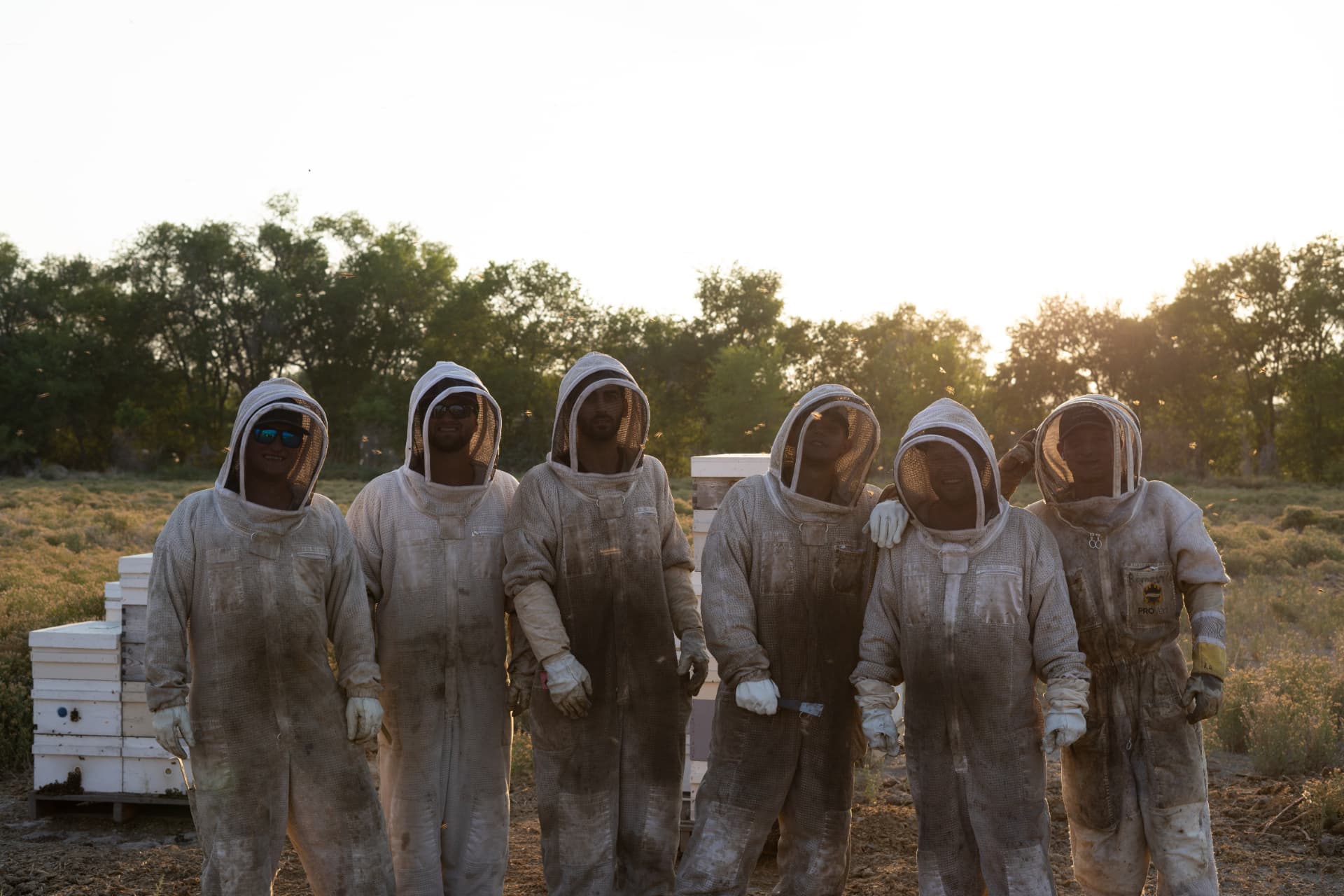 US Pollination Inc crew standing together at sunset in a California bee yard