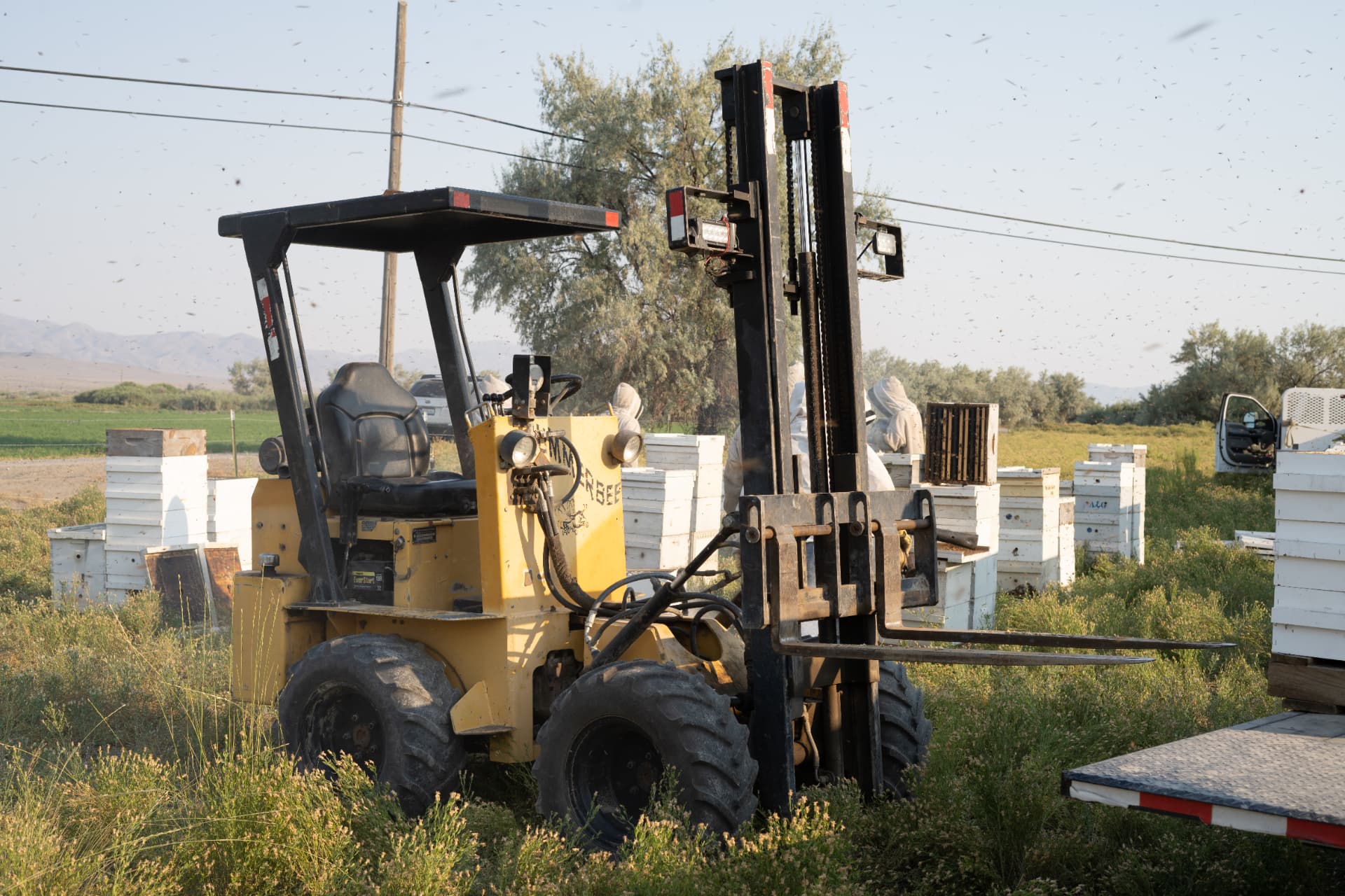 Bee yard forklift used to move pallets of hives in the field